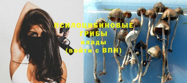 марки nbome Баксан